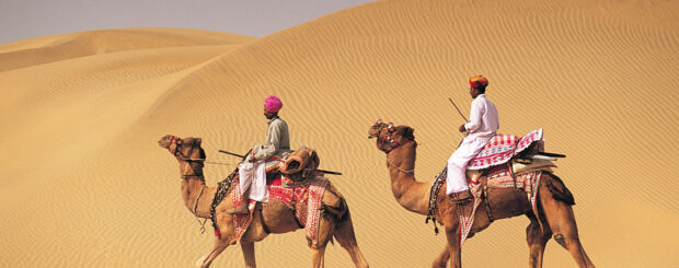 desert camel safari rajasthan